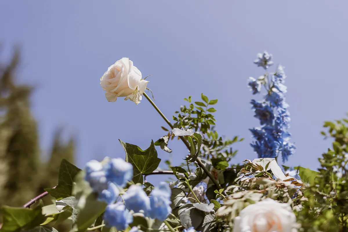 wedding photographer mallorca-10