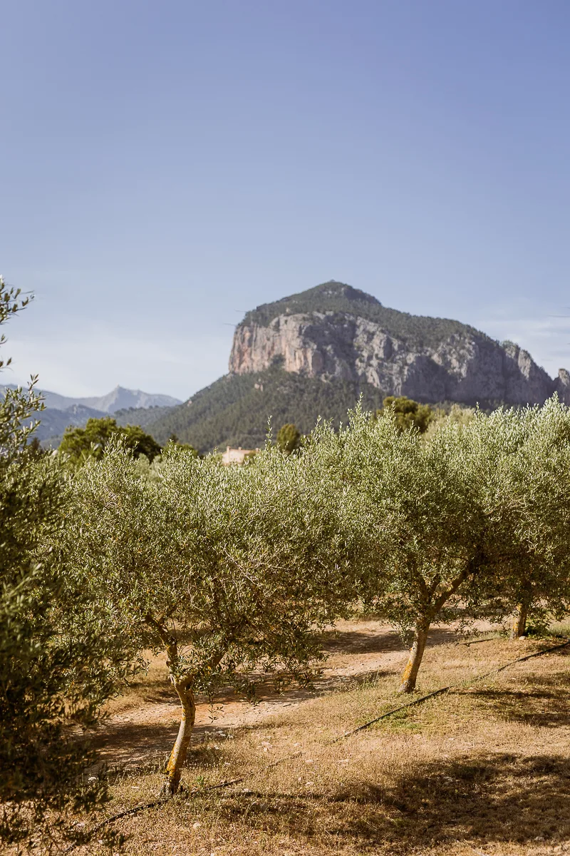 wedding photographer mallorca-5