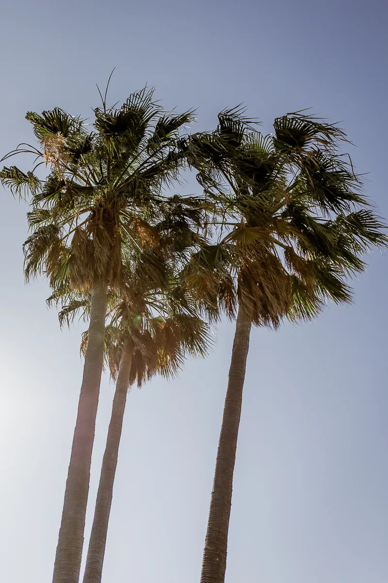 wedding photographer mallorca-72
